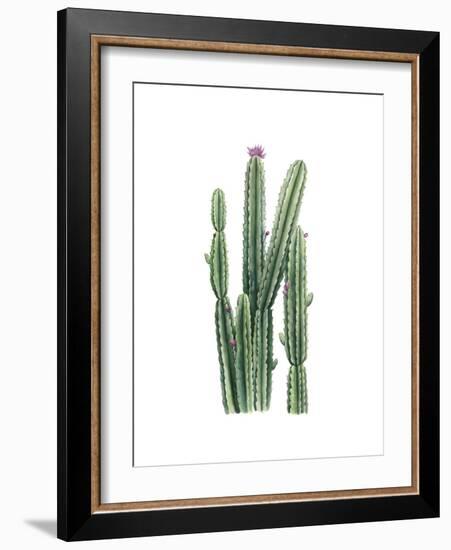 Desert Blooms II-Grace Popp-Framed Premium Giclee Print