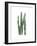 Desert Blooms II-Grace Popp-Framed Premium Giclee Print