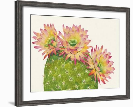 Desert Blossoms I-Tim O'toole-Framed Giclee Print