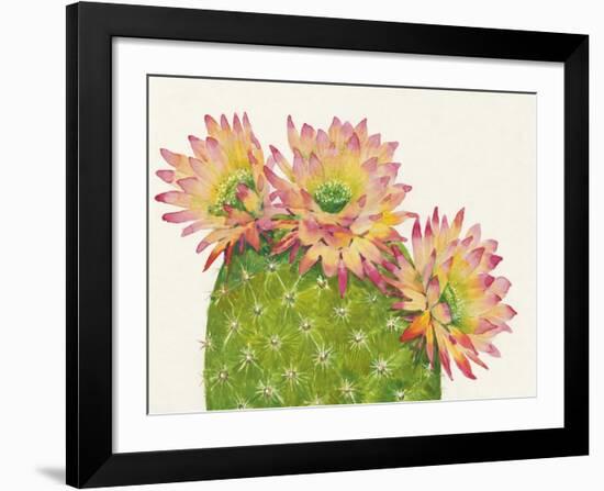 Desert Blossoms I-Tim O'toole-Framed Giclee Print