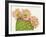 Desert Blossoms I-Tim O'toole-Framed Giclee Print