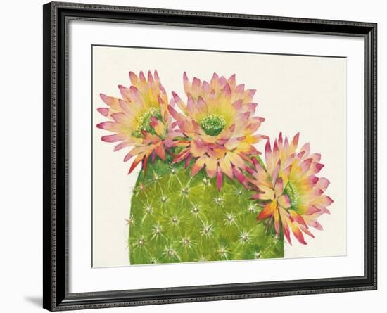 Desert Blossoms I-Tim O'toole-Framed Giclee Print