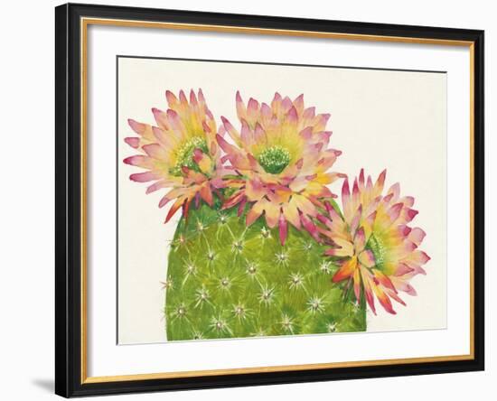 Desert Blossoms I-Tim O'toole-Framed Giclee Print