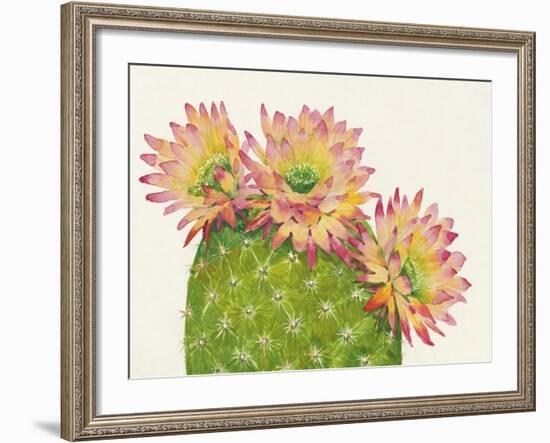 Desert Blossoms I-Tim OToole-Framed Art Print