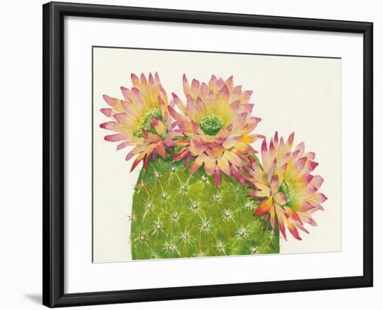 Desert Blossoms I-Tim OToole-Framed Art Print