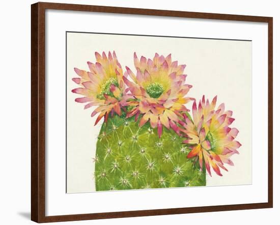 Desert Blossoms I-Tim OToole-Framed Art Print