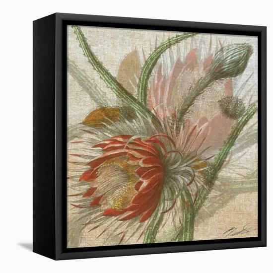 Desert Botanicals II-John Butler-Framed Stretched Canvas