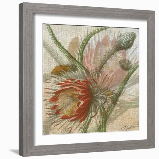 Desert Botanicals II-John Butler-Framed Art Print