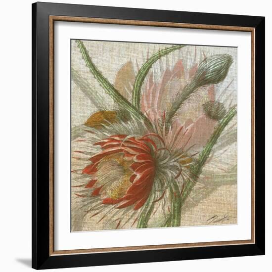 Desert Botanicals II-John Butler-Framed Art Print