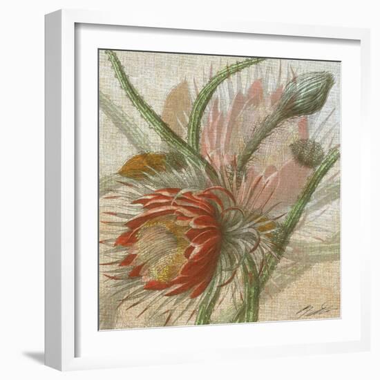 Desert Botanicals II-John Butler-Framed Art Print