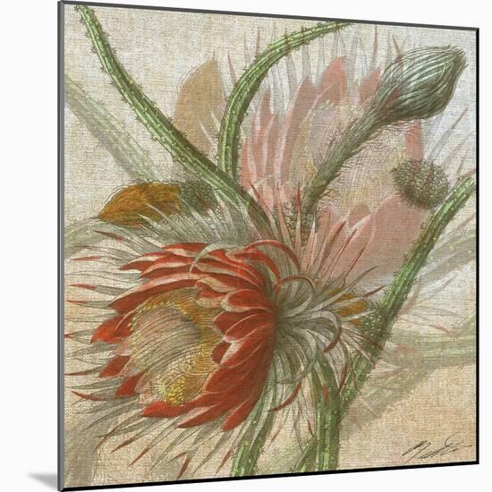 Desert Botanicals II-John Butler-Mounted Art Print