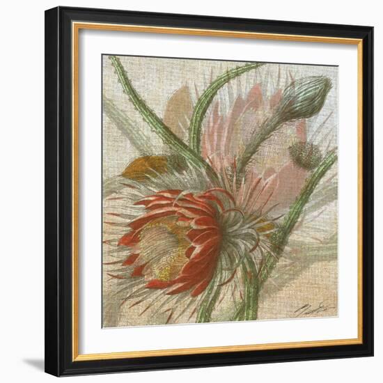 Desert Botanicals II-John Butler-Framed Art Print