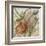 Desert Botanicals II-John Butler-Framed Art Print