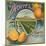 Desert Brand - Phoenix, Arizona - Citrus Crate Label-Lantern Press-Mounted Art Print