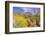 Desert cacti under Indianhead Peak, Anza-Borrego Desert State Park, California, USA-Russ Bishop-Framed Photographic Print