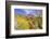 Desert cacti under Indianhead Peak, Anza-Borrego Desert State Park, California, USA-Russ Bishop-Framed Photographic Print