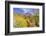 Desert cacti under Indianhead Peak, Anza-Borrego Desert State Park, California, USA-Russ Bishop-Framed Photographic Print