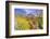 Desert cacti under Indianhead Peak, Anza-Borrego Desert State Park, California, USA-Russ Bishop-Framed Photographic Print