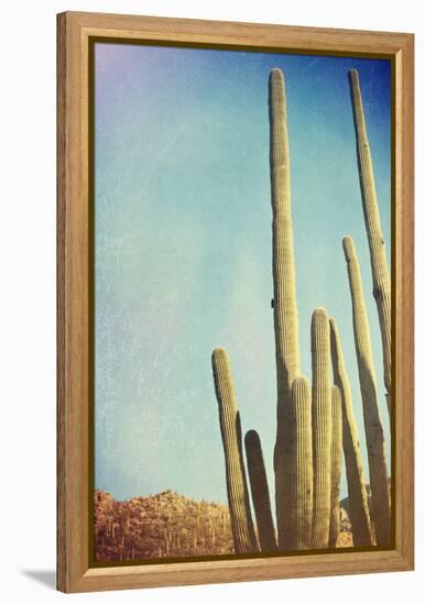 Desert Cactus With An Artistic Texture Overlay-pdb1-Framed Stretched Canvas