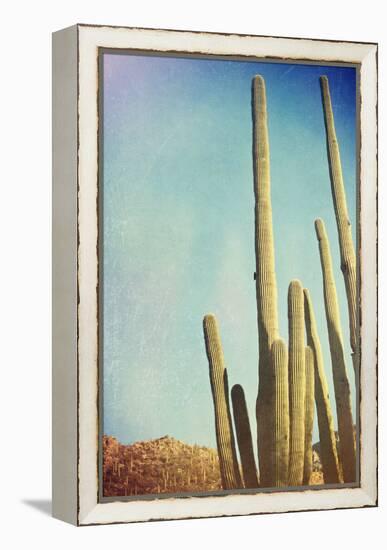 Desert Cactus With An Artistic Texture Overlay-pdb1-Framed Stretched Canvas