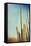 Desert Cactus With An Artistic Texture Overlay-pdb1-Framed Stretched Canvas