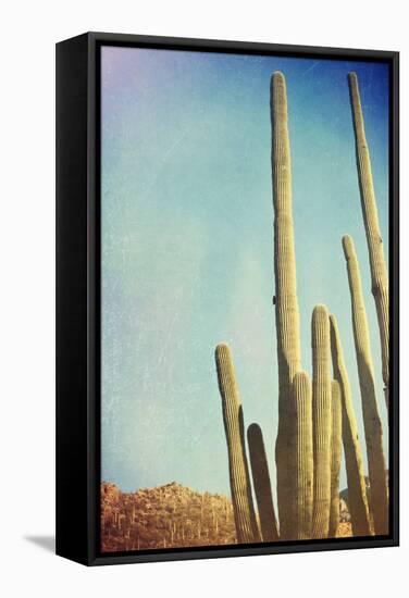 Desert Cactus With An Artistic Texture Overlay-pdb1-Framed Stretched Canvas