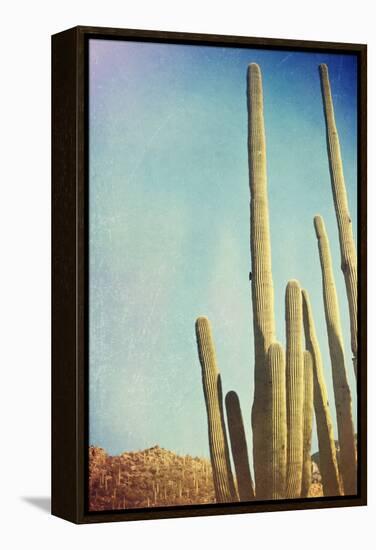 Desert Cactus With An Artistic Texture Overlay-pdb1-Framed Stretched Canvas