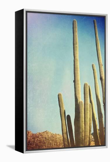 Desert Cactus With An Artistic Texture Overlay-pdb1-Framed Stretched Canvas