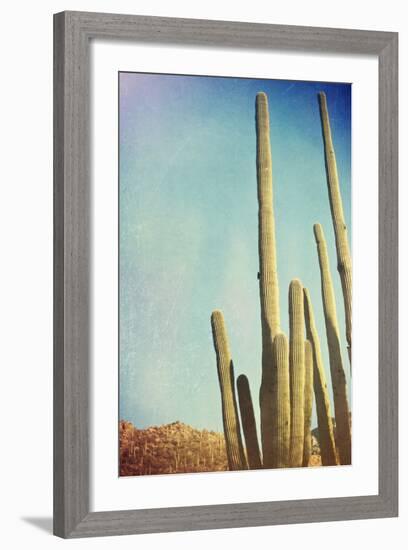 Desert Cactus With An Artistic Texture Overlay-pdb1-Framed Premium Giclee Print