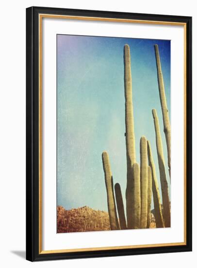 Desert Cactus With An Artistic Texture Overlay-pdb1-Framed Premium Giclee Print