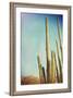 Desert Cactus With An Artistic Texture Overlay-pdb1-Framed Art Print