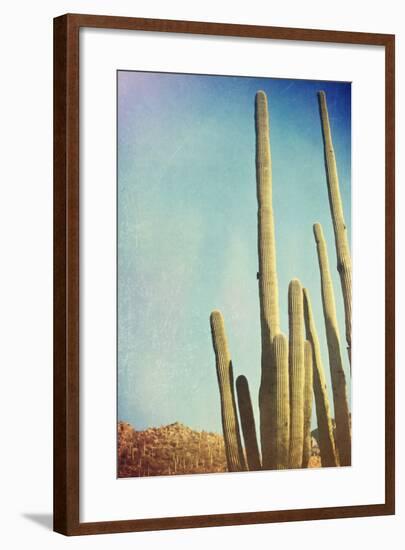 Desert Cactus With An Artistic Texture Overlay-pdb1-Framed Art Print