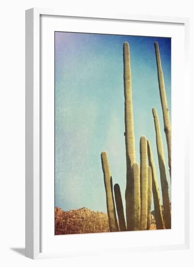 Desert Cactus With An Artistic Texture Overlay-pdb1-Framed Art Print