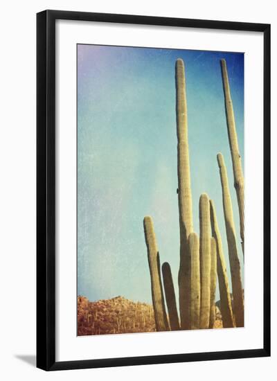 Desert Cactus With An Artistic Texture Overlay-pdb1-Framed Art Print