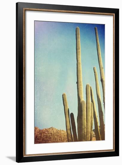 Desert Cactus With An Artistic Texture Overlay-pdb1-Framed Art Print