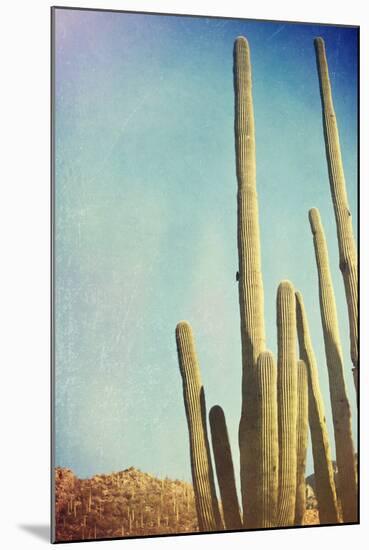 Desert Cactus With An Artistic Texture Overlay-pdb1-Mounted Art Print