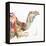 Desert Camel I-Aimee Del Valle-Framed Stretched Canvas