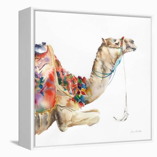 Desert Camel I-Aimee Del Valle-Framed Stretched Canvas