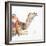 Desert Camel I-Aimee Del Valle-Framed Art Print