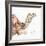 Desert Camel I-Aimee Del Valle-Framed Art Print