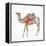 Desert Camel II-Aimee Del Valle-Framed Stretched Canvas