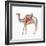 Desert Camel II-Aimee Del Valle-Framed Art Print