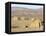 Desert Camp of Afar Nomads, Afar Triangle, Djibouti, Africa-Tony Waltham-Framed Premier Image Canvas