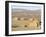 Desert Camp of Afar Nomads, Afar Triangle, Djibouti, Africa-Tony Waltham-Framed Photographic Print