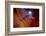 Desert Canyon Night-rolffimages-Framed Photographic Print