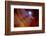 Desert Canyon Night-rolffimages-Framed Photographic Print