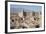 Desert Citadel, Rayen, Iran, Western Asia-Eitan Simanor-Framed Photographic Print