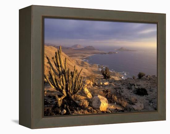Desert Coast and Pacific Ocean, Atacama Desert, Pan de Azucar National Park,Chile-Andres Morya-Framed Premier Image Canvas