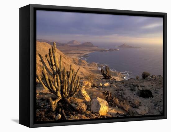 Desert Coast and Pacific Ocean, Atacama Desert, Pan de Azucar National Park,Chile-Andres Morya-Framed Premier Image Canvas