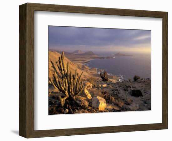 Desert Coast and Pacific Ocean, Atacama Desert, Pan de Azucar National Park,Chile-Andres Morya-Framed Photographic Print